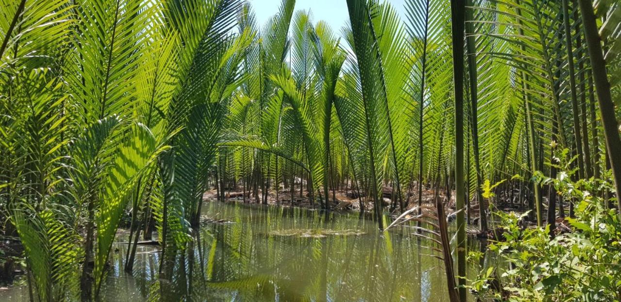 Countryside Homestay كوانج نجاي المظهر الخارجي الصورة