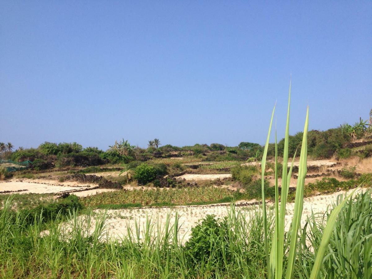 Countryside Homestay كوانج نجاي المظهر الخارجي الصورة